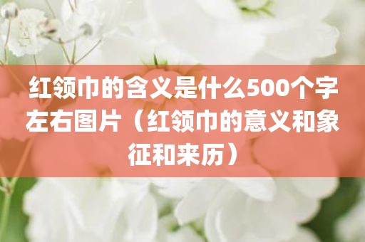 红领巾的含义是什么500个字左右图片（红领巾的意义和象征和来历）