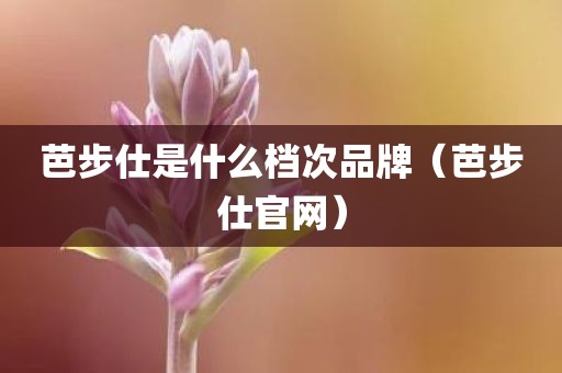 芭步仕是什么档次品牌(芭步仕官网)
