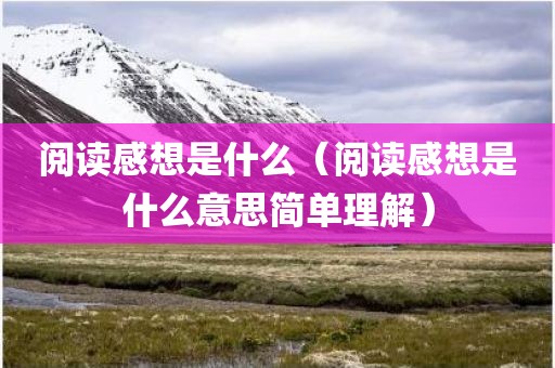 阅读感想是什么（阅读感想是什么意思简单理解）
