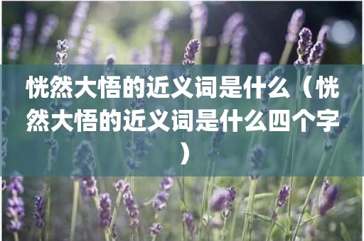 恍然大悟的近义词是什么（恍然大悟的近义词是什么四个字）
