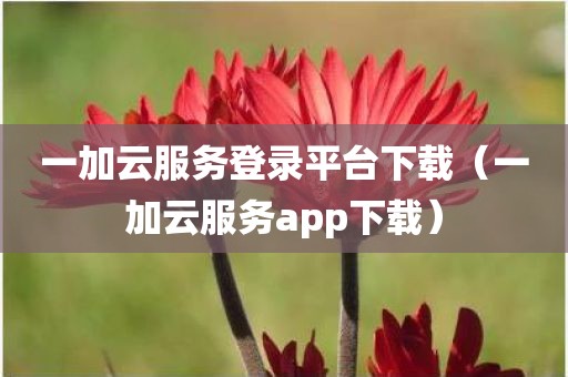 一加云服务登录平台下载（一加云服务app下载）
