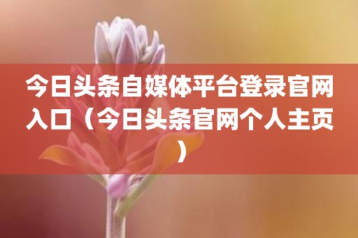 今日头条自媒体平台登录官网入口(今日头条官网个人主页)