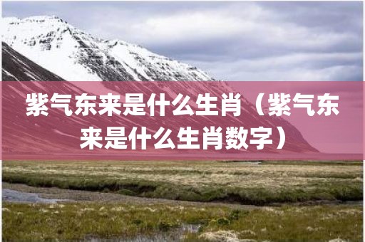 紫气东来是什么生肖（紫气东来是什么生肖数字）