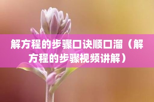 解方程的步骤口诀顺口溜（解方程的步骤视频讲解）