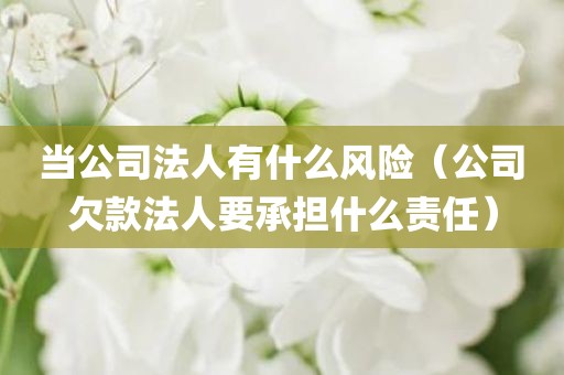 当公司法人有什么风险（公司欠款法人要承担什么责任）