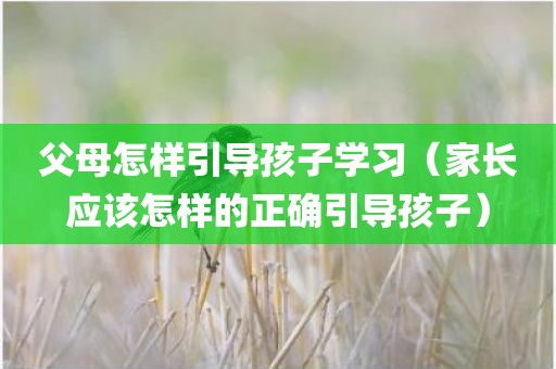 父母怎样引导孩子学习（家长应该怎样的正确引导孩子）