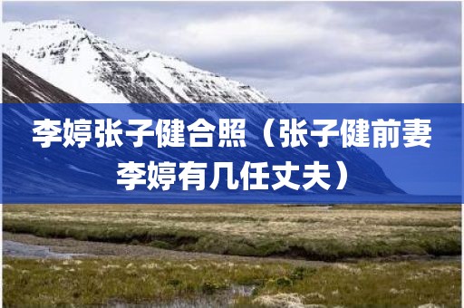 李婷张子健合照（张子健前妻李婷有几任丈夫）