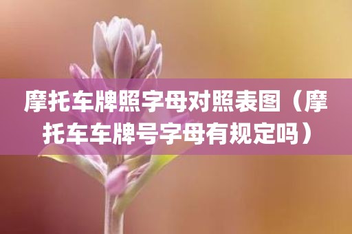 摩托车牌照字母对照表图（摩托车车牌号字母有规定吗）