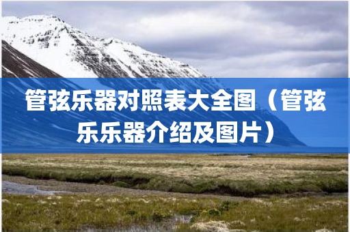 管弦乐器对照表大全图（管弦乐乐器介绍及图片）