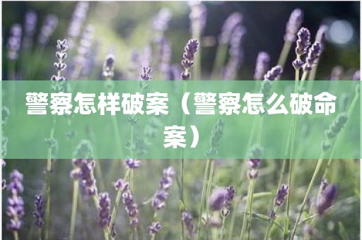 警察怎样破案（警察怎么破命案）