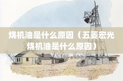 烧机油是什么原因（五菱宏光烧机油是什么原因）