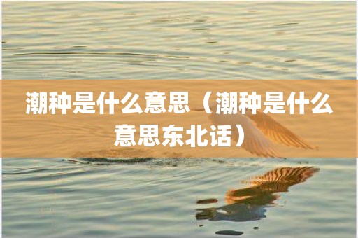 潮种是什么意思(潮种是什么意思东北话)