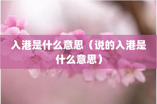 入港是什么意思（说的入港是什么意思）
