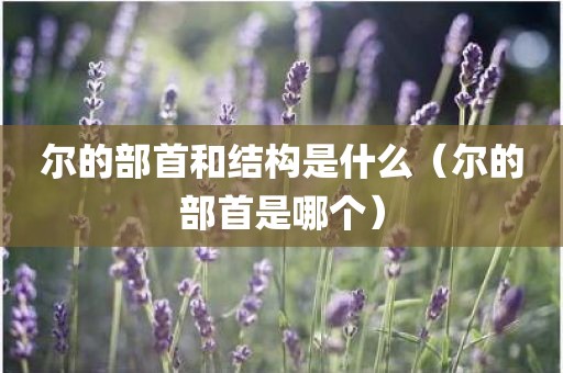 尔的部首和结构是什么（尔的部首是哪个）