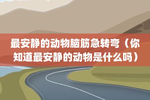 最安静的动物脑筋急转弯（你知道最安静的动物是什么吗）