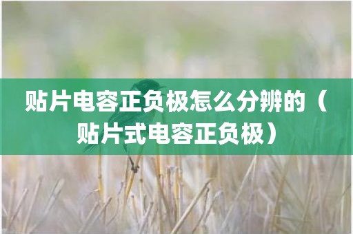 贴片电容正负极怎么分辨的（贴片式电容正负极）