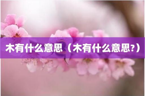 木有什么意思（木有什么意思?）