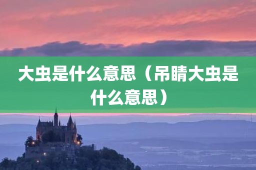 大虫是什么意思（吊睛大虫是什么意思）