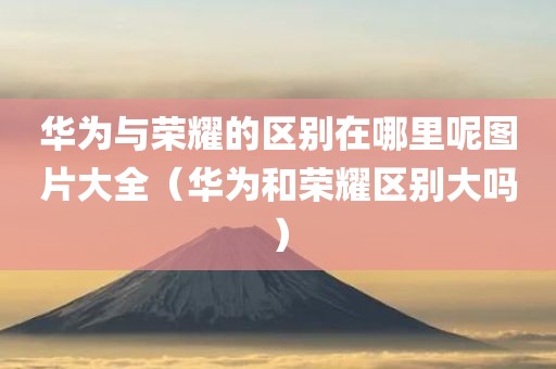 华为与荣耀的区别在哪里呢图片大全（华为和荣耀区别大吗）