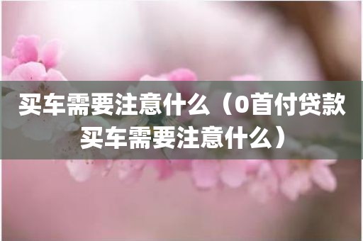 买车需要注意什么（0首付贷款买车需要注意什么）