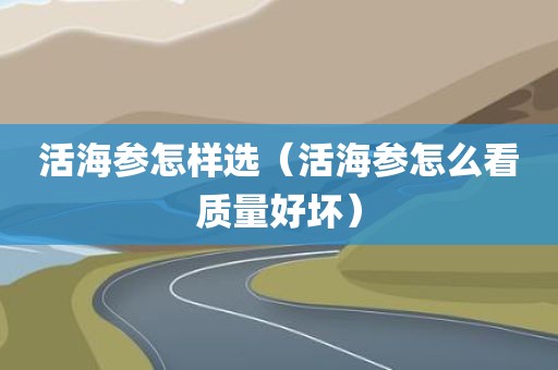 活海参怎样选（活海参怎么看质量好坏）