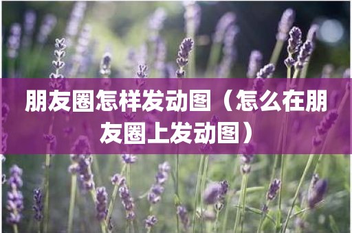 朋友圈怎样发动图（怎么在朋友圈上发动图）