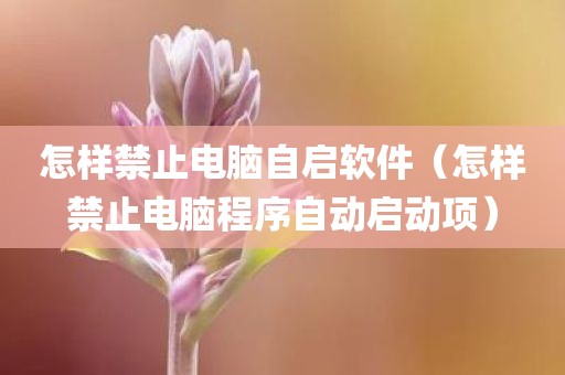 怎样禁止电脑自启软件（怎样禁止电脑程序自动启动项）