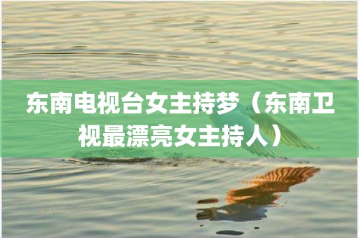 东南电视台女主持梦（东南卫视最漂亮女主持人）