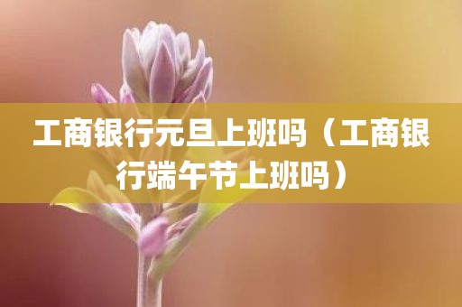 工商银行元旦上班吗（工商银行端午节上班吗）