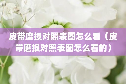 皮带磨损对照表图怎么看（皮带磨损对照表图怎么看的）