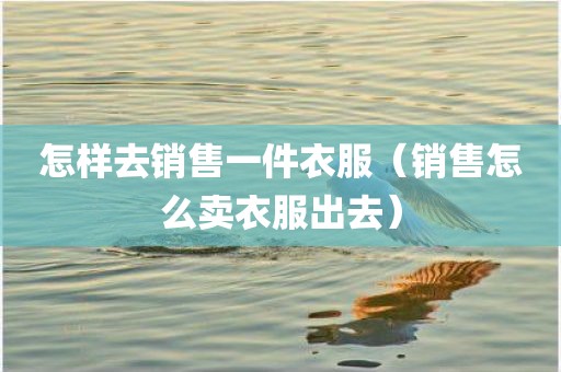 怎样去销售一件衣服(销售怎么卖衣服出去) 怎样去销售一件衣服(销售怎么卖衣服出去)