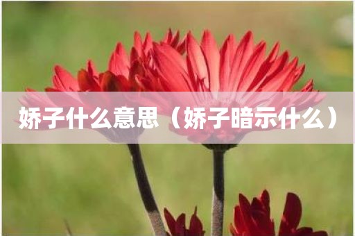 娇子什么意思（娇子暗示什么）