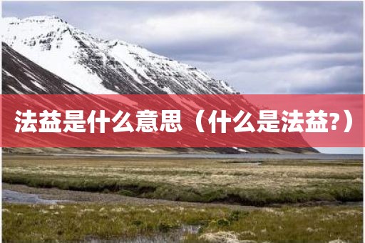 法益是什么意思(什么是法益?)