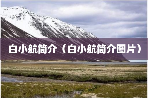 白小航简介（白小航简介图片）