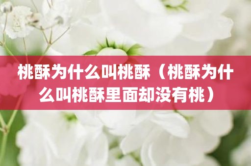 桃酥为什么叫桃酥（桃酥为什么叫桃酥里面却没有桃）