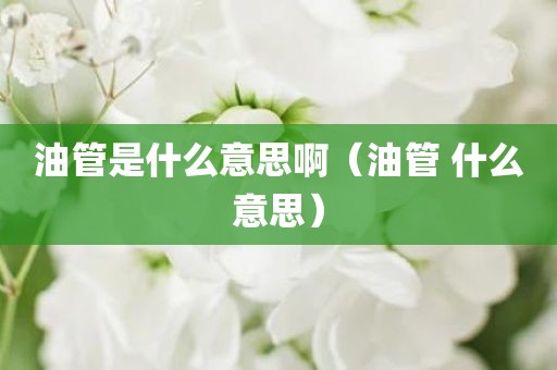 油管是什么意思啊（油管 什么意思）