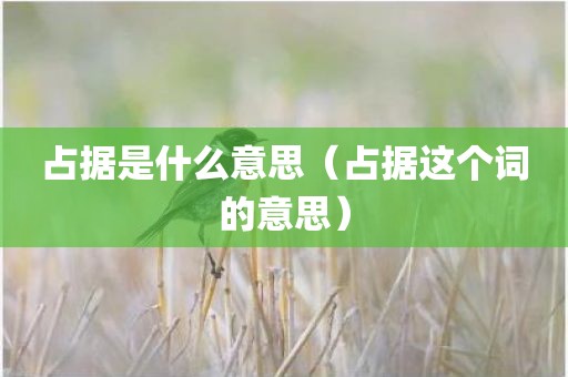 占据是什么意思（占据这个词的意思）