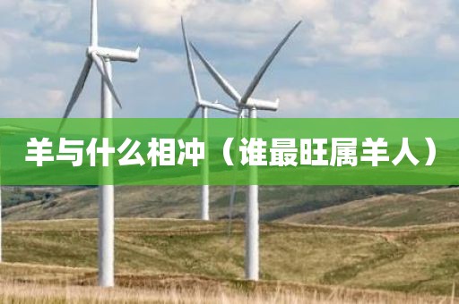 羊与什么相冲(谁最旺属羊人)