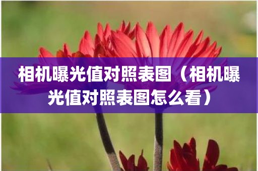 相机曝光值对照表图（相机曝光值对照表图怎么看）