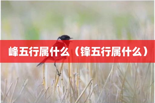 峰五行属什么（锋五行属什么）