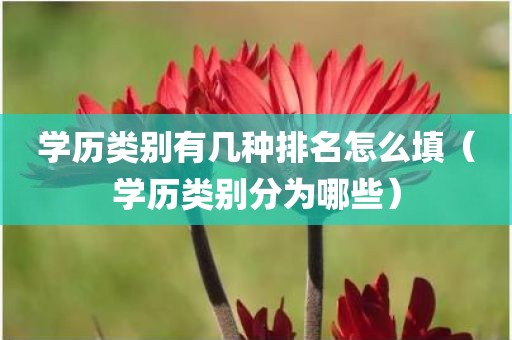 学历类别有几种排名怎么填（学历类别分为哪些）