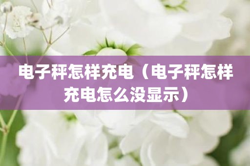 电子秤怎样充电（电子秤怎样充电怎么没显示）