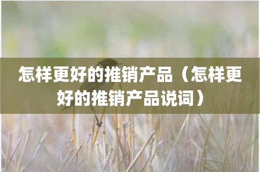 怎样更好的推销产品（怎样更好的推销产品说词）