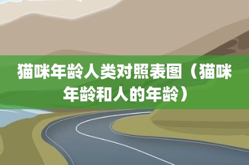 猫咪年龄人类对照表图（猫咪年龄和人的年龄）