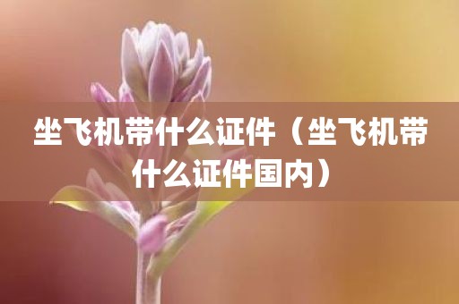 坐飞机带什么证件（坐飞机带什么证件国内）