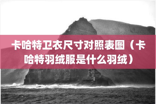 卡哈特卫衣尺寸对照表图（卡哈特羽绒服是什么羽绒）