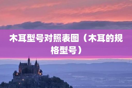 木耳型号对照表图（木耳的规格型号）