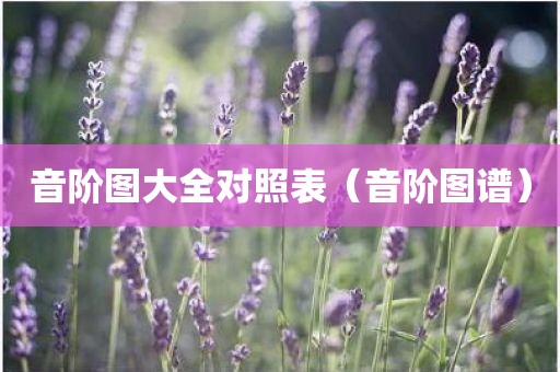 音阶图大全对照表（音阶图谱）