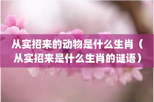 从实招来的动物是什么生肖（从实招来是什么生肖的谜语）