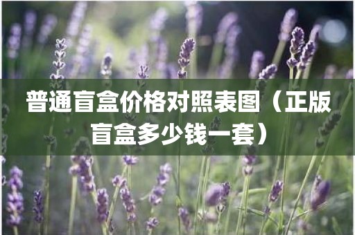 普通盲盒价格对照表图（正版盲盒多少钱一套）